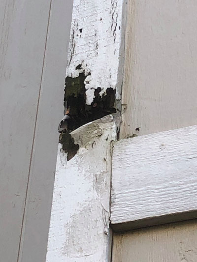Rotted wood trim board on Omaha house