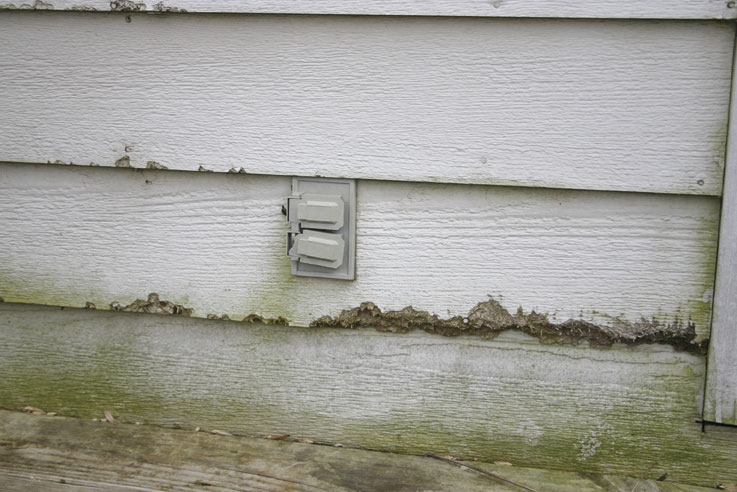 Why Replacing Rotted Wood is Important Before You Paint Your House