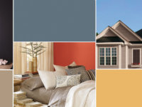 Trending Paint Colors for Your House