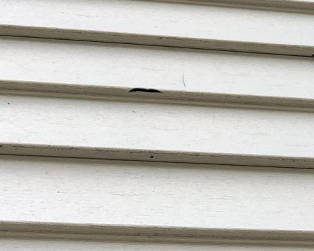 Vinyl siding with hail damage in Omaha, NE